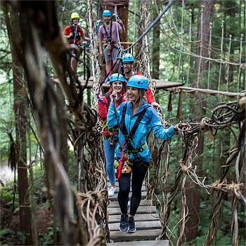 The ultimate Redwoods experience – Altitude, Fast Pass entry to Nightlights & a FREE daytime walk!
