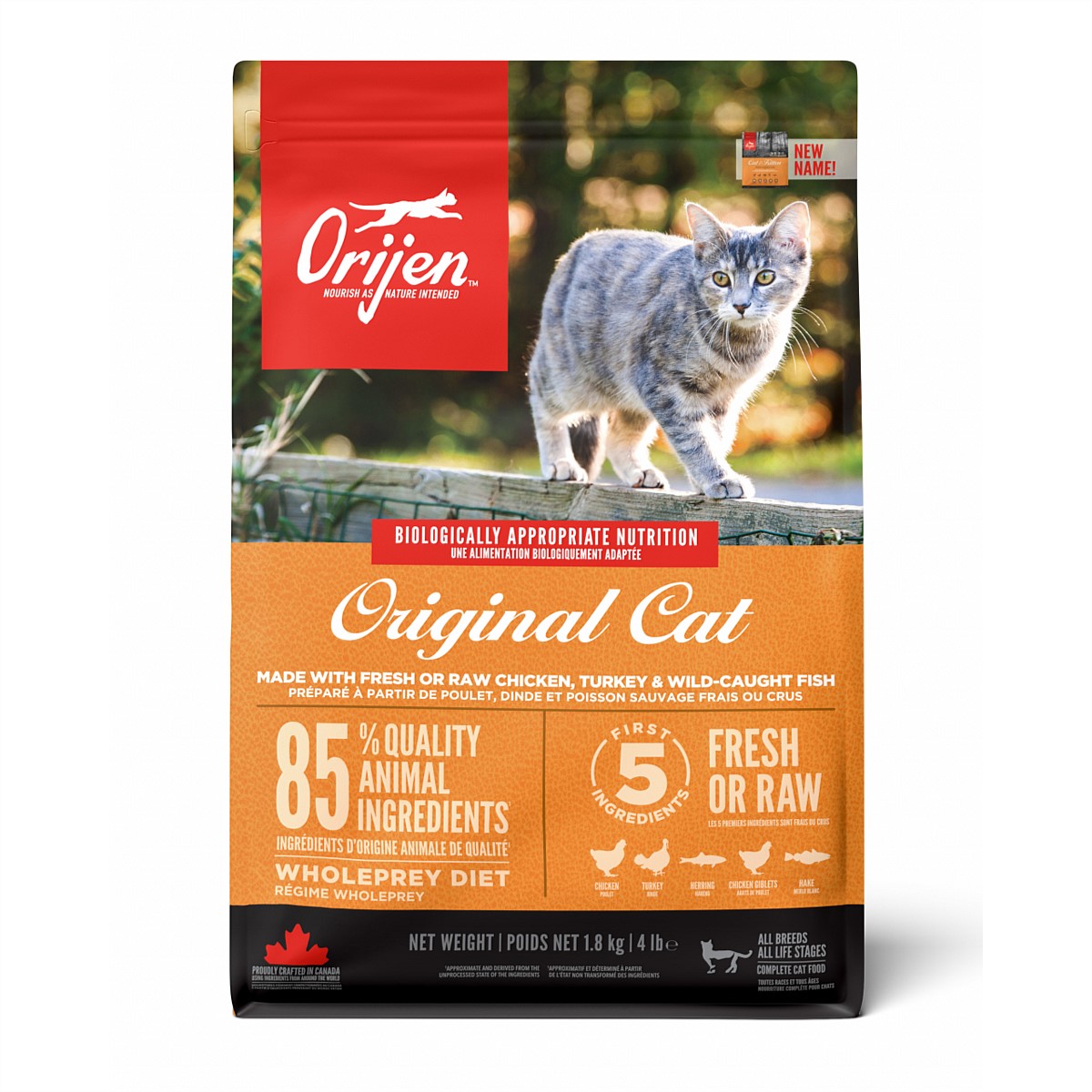 Storing dry deals cat food