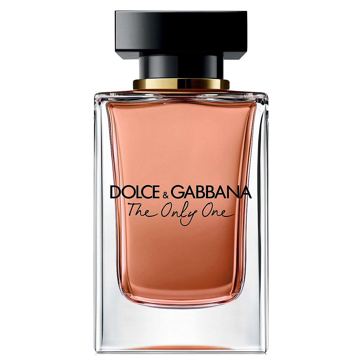 dolce and gabbana nz