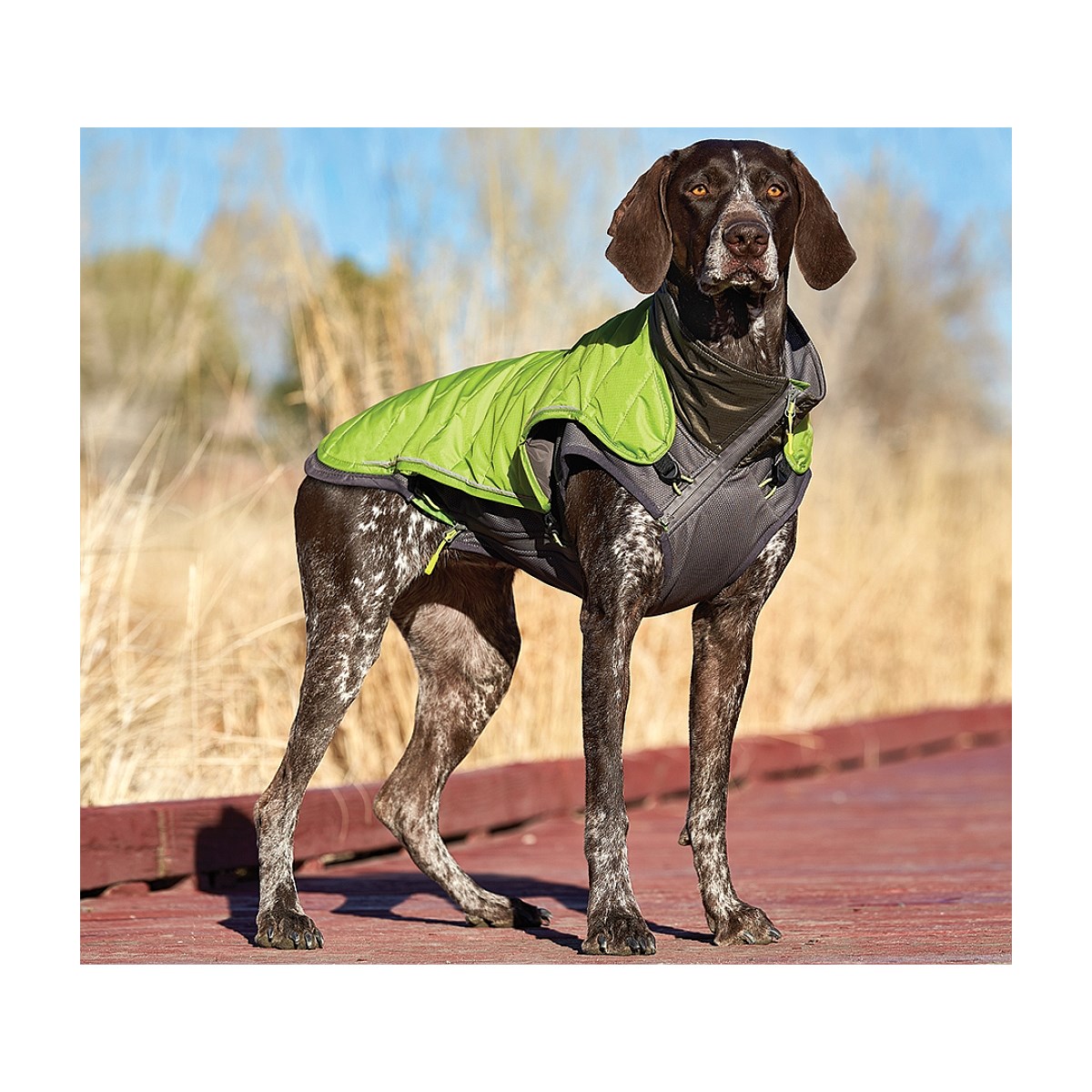 Home & Tech - Telluride 2 in 1 Coat