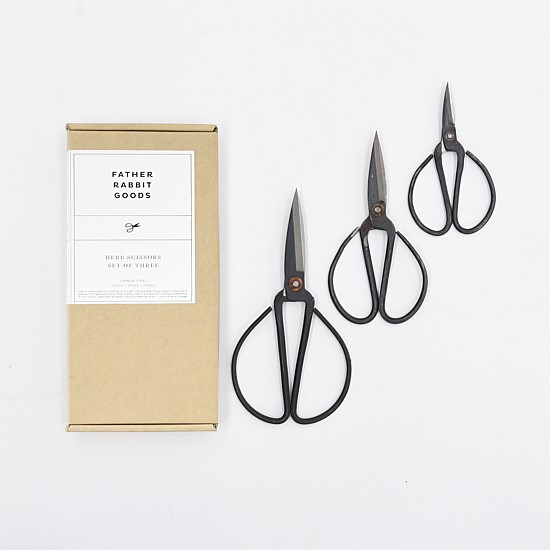 Herb Scissors | Set of 3