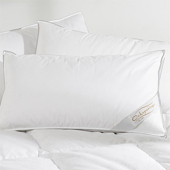 European 85/15 Goose Feather & Down Surround Pillow