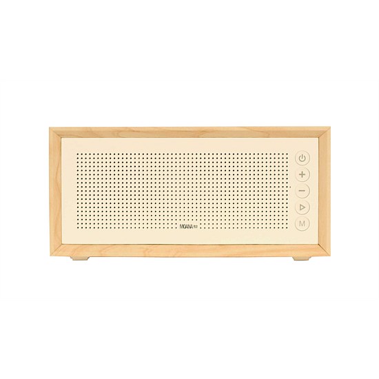 Vintage Speaker