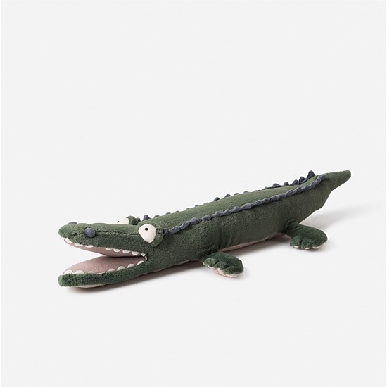 Betsy The Crocodile