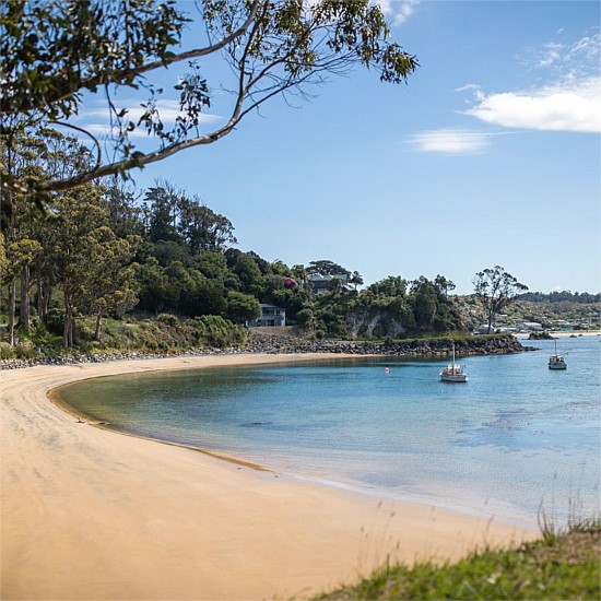 Stewart Island Return Ferry Service