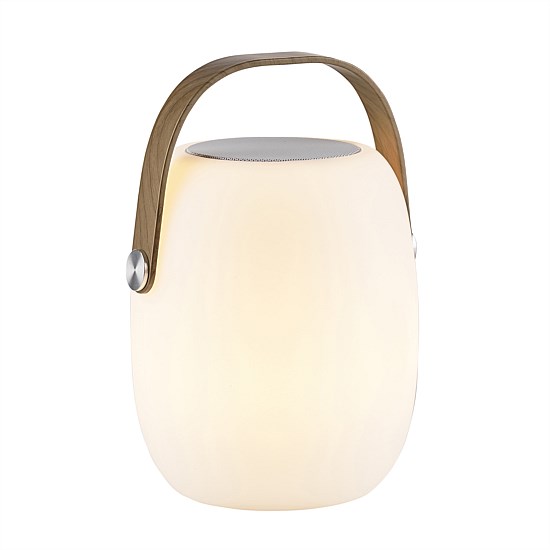 Wireless Speaker and Light