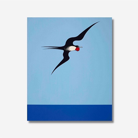 Don Binney Pacific Frigate Bird