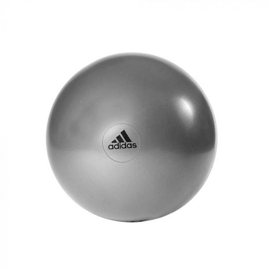 Gymball 55cm