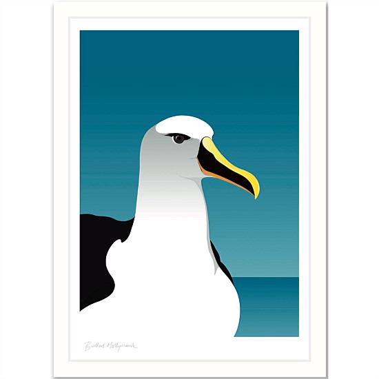 Framed Art Print - Mollymawk Albatross
