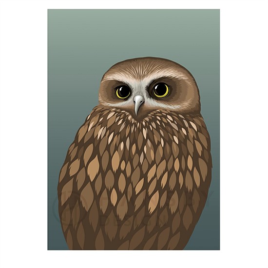 Art Print - Morepork - Dusk