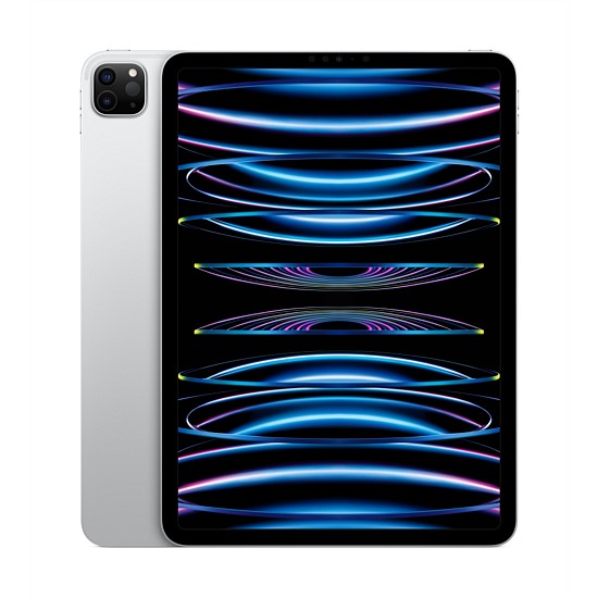 11-inch iPad Pro Wi-Fi 1TB