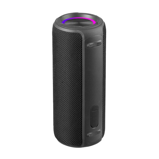 Portable Speaker - Amped Series - Large