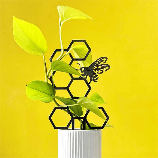 Honeybee Plant Trellis