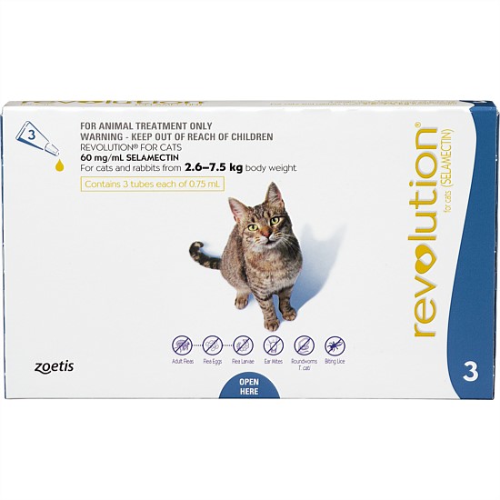 Flea Treatment for Cats