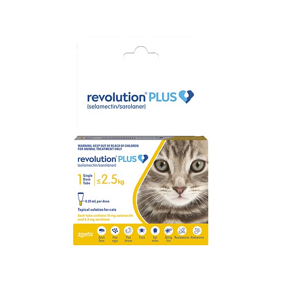 Flea Treatment for Cats