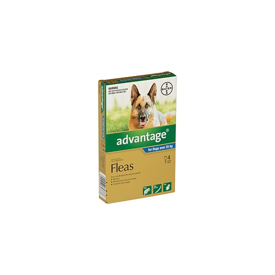 Flea Treatment for Dog 25kg+