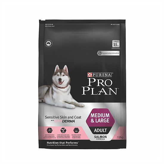 Adult Medium & Large Breed Sensitive Skin & Coat Salmon Dry Dog Food