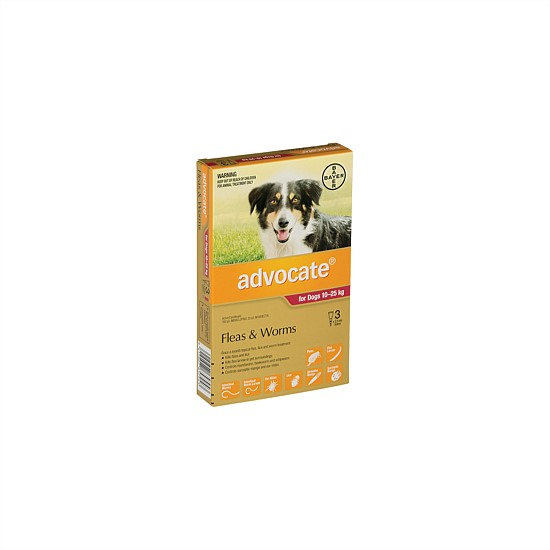 Flea & Worm Treatment For Dogs 10-25kg