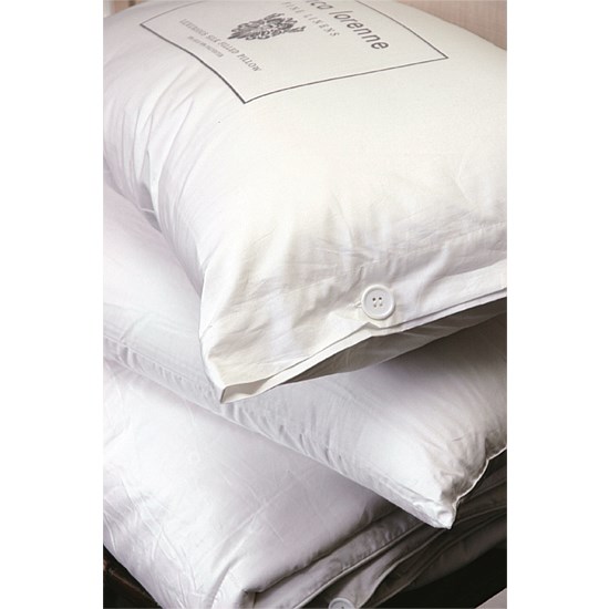 Silk Filled Pillow Standard