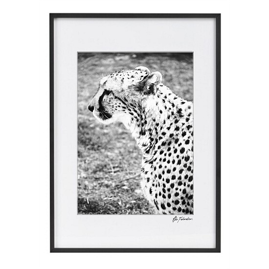 Curious Cheetah Print Wall Art