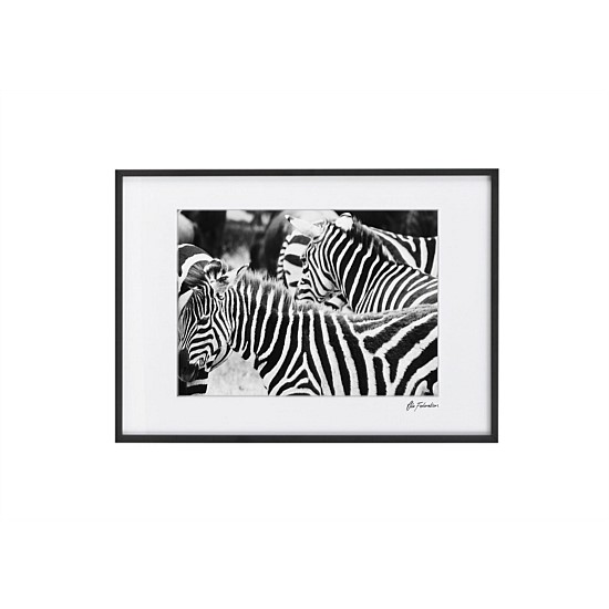 Zebra Dazzle Zebra Print Wall Art