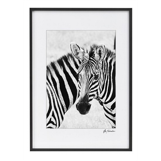 Zebra Watch Wall Art