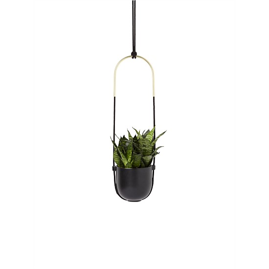 Bolo Hanging Planter