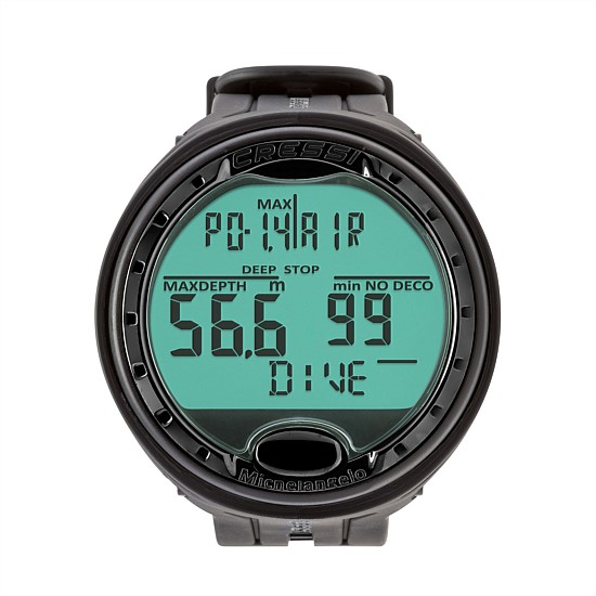 Michelangelo Wrist Computer Michelangelo Wrist Computer