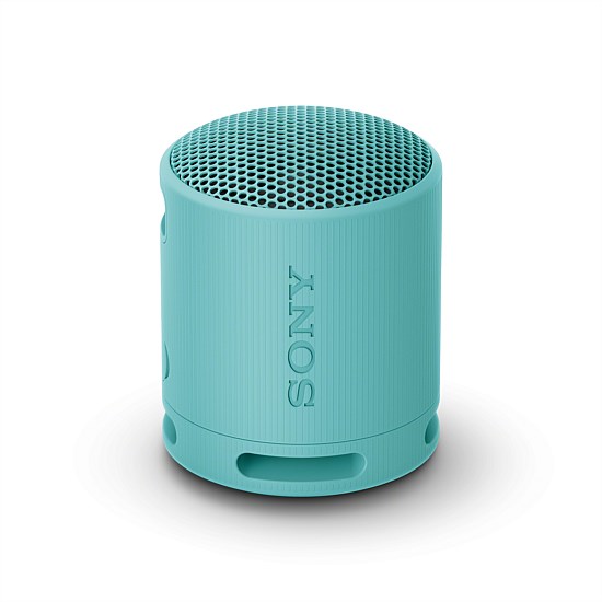 SRS-XB100 Portable Wireless Speaker