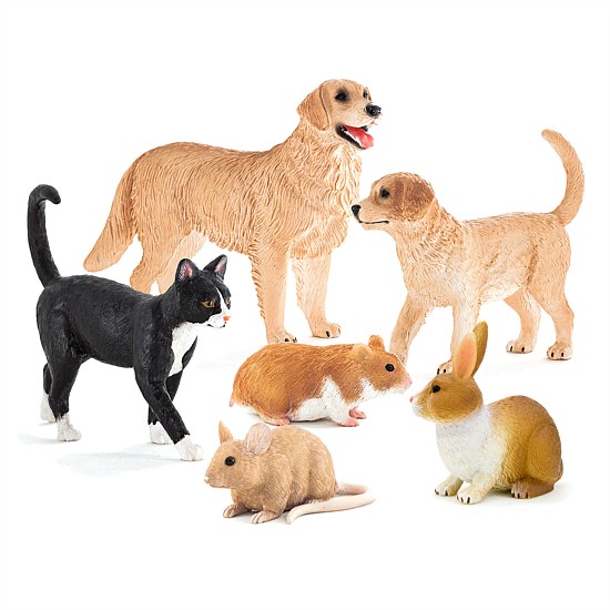 6-Piece Pet Set