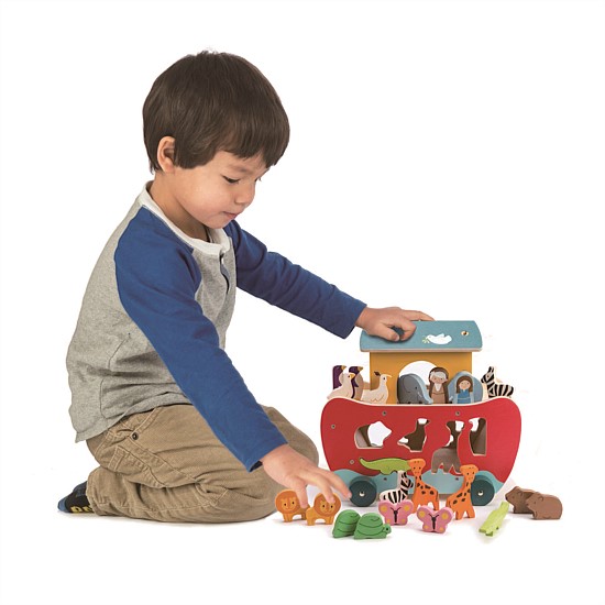 Noah's Shape Sorter Ark