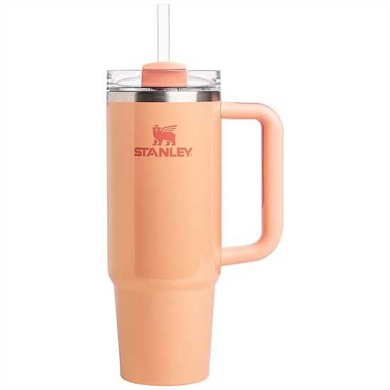 The Quencher H2.0 FlowState™ Tumbler | 30 OZ