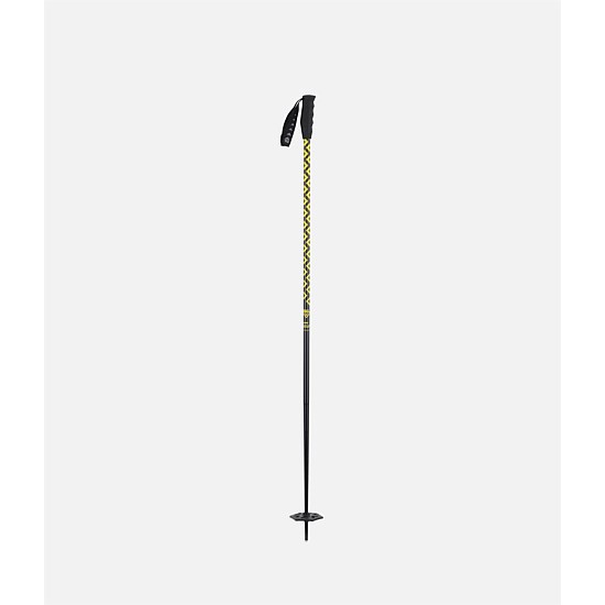 Meta Ski Poles