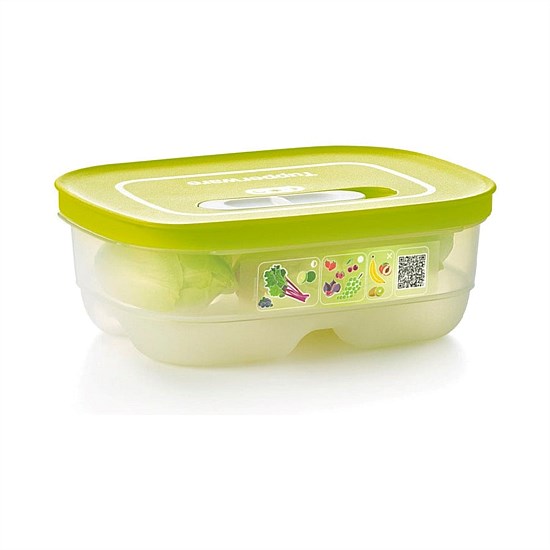 Tupperware VentSmart Rectangle Small Low 800ml Container