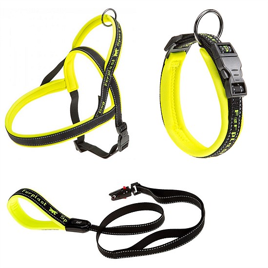 Sport Dog Collar, Lead and Harness