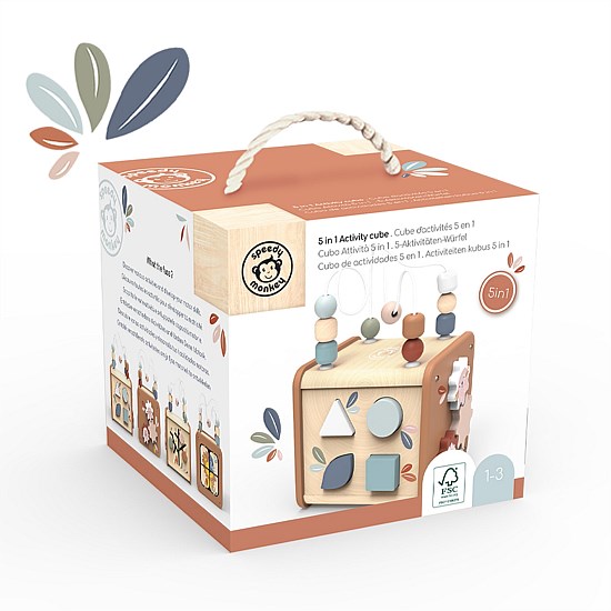 5 in 1 Activity Cube