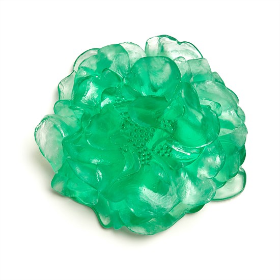 Camelia Flower Camelia Flower