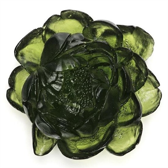 Peony Flower Peony Flower