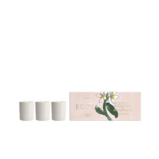 Limited Edition Mini Ceramic Madison Set