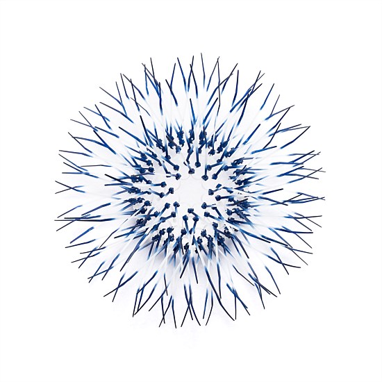 Kina - Navy