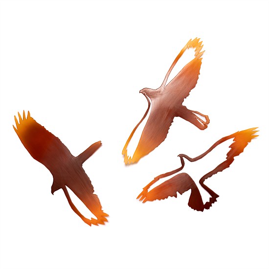 Soaring Kahu Set