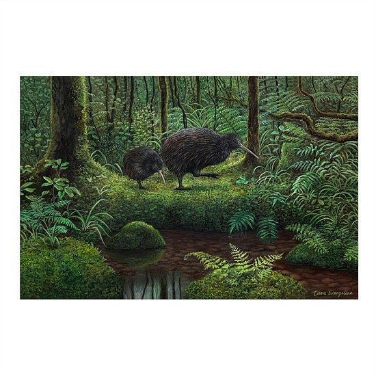 Kiwi In Coromandel - Canvas Print