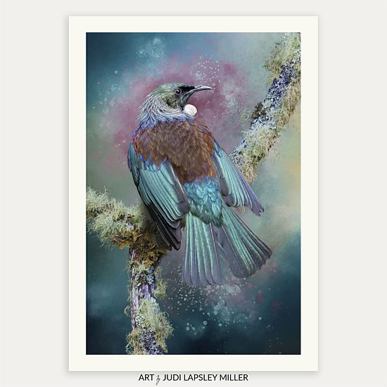 Resolute Beauty (Tūī)
