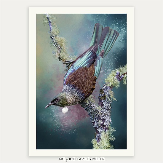 Graceful Splendour (Tūī)