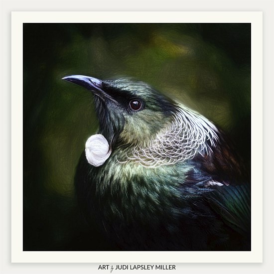 The Judge (Tūī)