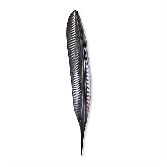 Tui Toro
