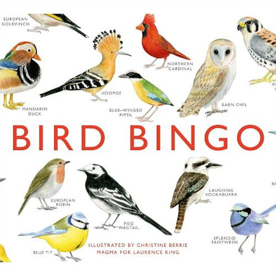 Bingo Bird