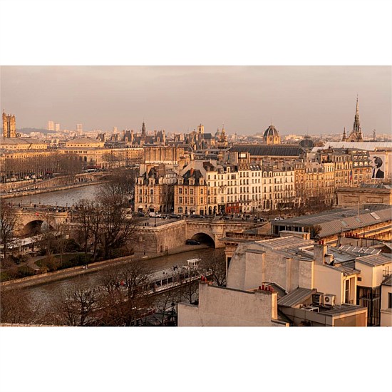Golden Paris Print