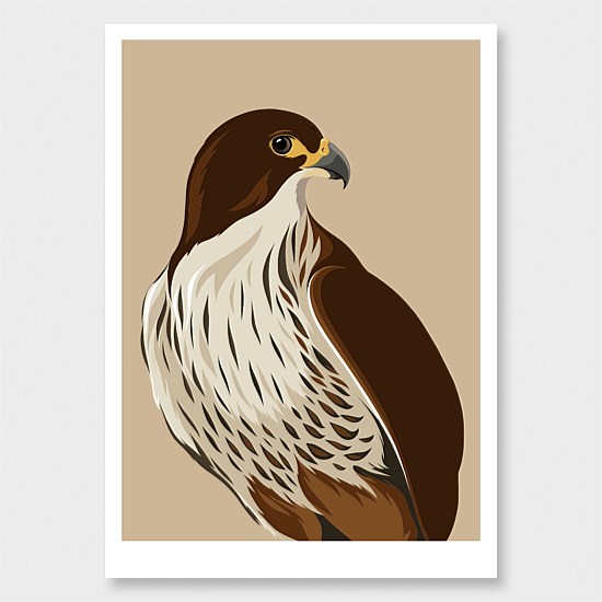 Falcon Print