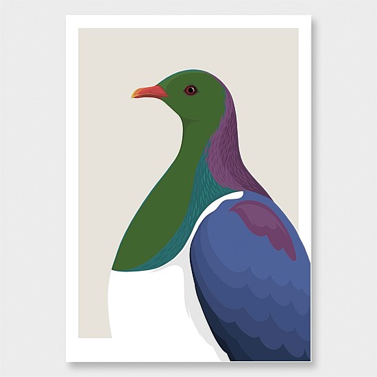 Kereru profile Print
